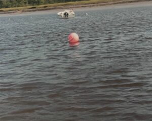 Orange buoy marking where Krystal’s car was found off the Addison boat launch.