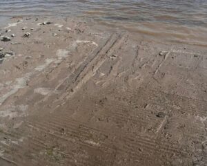 Tire tracks in the mud on the Addison boat launch ramp presumed to be from Krystal’s car.