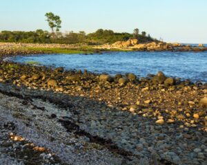 Rocky shoreline of Hammonasset Beach State Park.