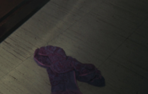 This purple towel became critical evidence decades later.