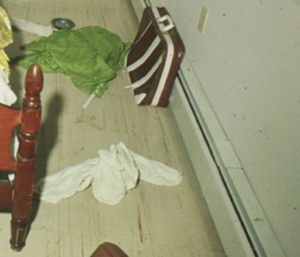 Signs of a struggle inside Judy’s bedroom.