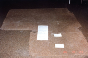 Carpet from the suspect’s apartment removed for analysis.
