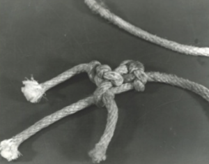 Rope used to attach the cinderblock to Debra’s body.